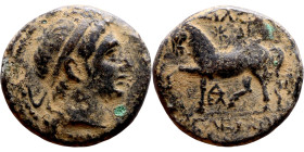 Seleukos II Kalinikos (Seleukid King: 246 - 226 BC) AE bronze. Obverse: Diademed head of Seleucus II right Reverse: Horse trotting left