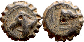 Demetrios I Soter (Seleukid King: 162-150 BC). AE bronze. Obv.: head of horse left. Rev.: BAΣIΛEΩΣ ΔHMHTPIOY, head of elephant right.