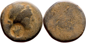 Hellenistic period coin (4-1 century BC)