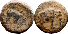 Demetrios I Soter (Seleukdi King: 162-150 BC). AE bronze. Obv.: head of horse left. Rev.: BAΣIΛEΩΣ ΔHMHTPIOY, elephant right.