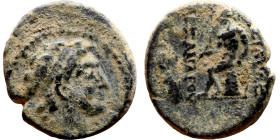 Seleukos II Kalinikos (Seleukid King: 246 - 226 BC) AE bronze. Obv: Diademed head of Seleucus II right Rev: Apollo seated left on omphalos, testing ar...