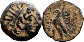 Antiochos VIII Epiphanes (Seleukid King: 121-96 BC). AE bronze. Obv.: diademed head of Antiochus right. Rev.: BAΣІΛEΩΣ ANTIOXOY EΠIΦANOYΣ; Eagle stand...