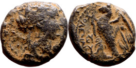 Ptolemaic Egypt – Berenike II – Bronze coin