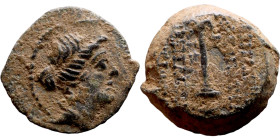 Uncertain ruler (Seleukid kings: III – I BC_ Bronze. Obverse: Bust of King. Reverse: Cornucopia