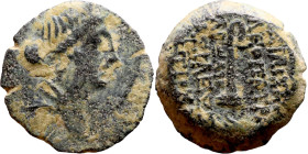 Uncertain ruler (Seleukid kings: III – I BC_ Bronze. Obverse: Bust of King. Reverse: Cornucopia