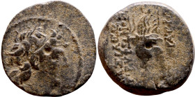 Tryphon (Seleukid King: 142-138 BC). AE bronze. Obv.: diademed bust of Tryphonos right. Rev.:ΒΑΣΙΛΕΩΣ ΤΡΥΦΩΝΟΣ (AY)ΤΟΚΡΑΤΟΡΟΣ, macedonian helmet decor...