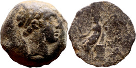 Uncertain ruler (Seleukid kings: III – I BC_ Bronze. Obverse: Bust of King. Rev: Athena seated on throne