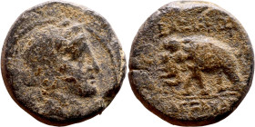 Antiochos III The Great (Seleukid King: 223-187 BC). AE bronze. Obv.: Laureate head of Apollo Rev.: Elephant standing left