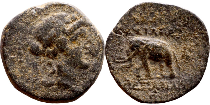 Antiochos III The Great (Seleukid King: 223-187 BC). AE bronze. Obv.: Laureate h...