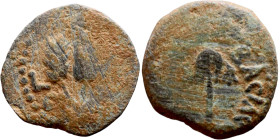 JUDAEA. Jerusalem mint. Agrippa I (under Claudius, 37-44 AD). AE prutah. Obv.: ΒΑCΙΛΕWC ΑΓΡΙΠΑ; Umbrella-like canopy with fringes. Rev.: Three ears of...