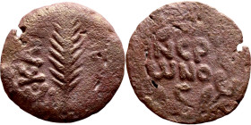 JUDAEA. Jerusalem mint. Porcius Festus (time of Nero, 59-62 AD). Bronze Prutah. Obv.: Palm-branch surrounded by L C•KAIC-APOC. Rev.: NEP • ωNO • C in ...