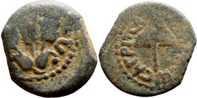 JUDAEA. Jerusalem mint. Agrippa I (under Claudius, 37-44 AD). AE prutah. Obv.: ΒΑCΙΛΕWC ΑΓΡΙΠΑ; Umbrella-like canopy with fringes. Rev.: Three ears of...