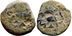 JUDAEA. Jerusalem mint. First Jewish Revolt (66-70 AD). AE prutah. Obv.: Two handled amphora. Rev.: vine leaf on small branch, bears the legend "for t...