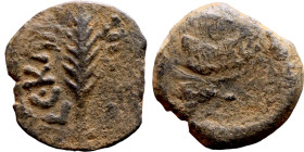 JUDAEA. Jerusalem mint. Porcius Festus (time of Nero, 59-62 AD). Bronze Prutah. Obv.: Palm-branch surrounded by L C•KAIC-APOC. Rev.: NEP • ωNO • C in ...