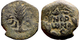 JUDAEA. Jerusalem mint. Porcius Festus (time of Nero, 59-62 AD). Bronze Prutah. Obv.: Palm-branch surrounded by L C•KAIC-APOC. Rev.: NEP • ωNO • C in ...