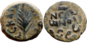 JUDAEA. Jerusalem mint. Porcius Festus (time of Nero, 59-62 AD). Bronze Prutah. Obv.: Palm-branch surrounded by L C•KAIC-APOC. Rev.: NEP • ωNO • C in ...