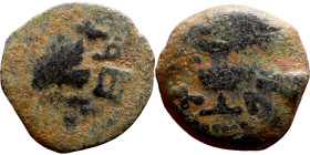 JUDAEA. Jerusalem mint. First Jewish Revolt (66-70 AD). AE prutah. Obv.: Two handled amphora. Rev.: vine leaf on small branch, bears the legend "for t...