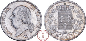 France, Louis XVIII (1814-1815 / 1815-1824), 5 Francs, Tête nue, 1823, D, Lyon, Av. LOUIS XVIII ROI DE FRANCE, Tête nue à gauche, Rv. Écu de France co...