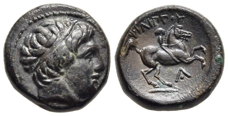 KINGS OF MACEDON. Philip II (359-336 BC). Ae. Uncertain mint in Macedon.

Obv: D...