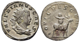 VALERIAN II (Caesar, 256-258). Antoninianus. Colonia Agrippinensis.

Obv: VALERIANVS CAES.
Radiate and draped bust right.
Rev: IOVI CRESCENTI.
Young J...