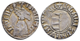 WALLACHIA. Vladislav I. (1364-1377). AR Ducat or Dinar.

Obv: +mLADIZLAI WAIWODE.
Coat of arms.
Rev: +TRAnS ALPInI.
Helmet with cross on bowl; above, ...