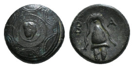 KINGS OF MACEDON. Philip III Arrhidaios (323-317 BC). Ae 1/2 Unit. Salamis.
Obv: Macedonian shield, with facing gorgoneion on boss.
Rev: B - A.
Macedo...