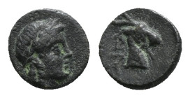 AEOLIS. Aigai. Ae (4th-3rd centuries BC).
Obv: Laureate head of Apollo right.
Rev: Head of goat right. 0,96 g