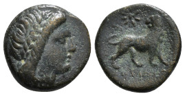IONIA. Miletos. Ae (Circa 350-300 BC).
Obv: Laureate head of Apollo right.
Rev:
Lion standing right, head left; star above. 4,16 g