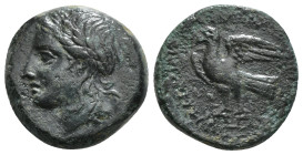 SICILY, Syracuse. Hiketas II. 287-278 BC. Æ. Obv: Laureate head of Zeus Hellanios right / Eagle standing left on thunderbolt. 7,65 g