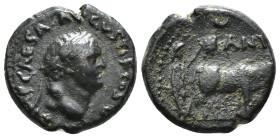 Pisidia, Antioch AE Vespasian for Titus (Caesar, 69-79)
Issue: AD 76
Obv: TITO IMP CAESARI AVGVSTI F COS V; laureate head of Titus, right
Rev: ANT COL...