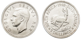 South Africa, George VI, 1936-1952. 5 Shillings, 1948, Pretoria mint (KM40.1).

Graded UNC Details, Cleaned PCGS.