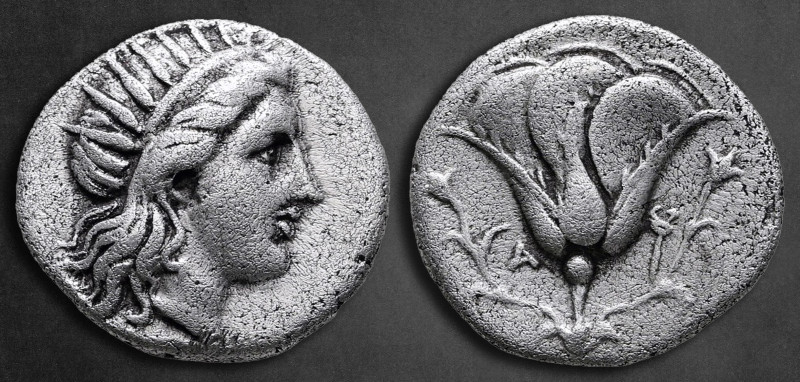 Islands off Caria. Rhodos circa 305-275 BC. 
Didrachm AR

20 mm, 6,39 g

Ra...