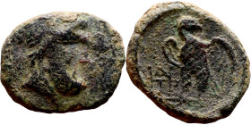 Antiochos IV Epiphanes (Seleukid King: 175-172 BC). AE bronze. Obv.: Head of Isis right, wreathed with grain, Isis crown atop taenia Rev: Eagle standi...