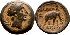 Seleukos II Kalinikos (Seleukid King: 246 - 226 BC) AE bronze. Obv Obv.: : Diademed head of Seleucus II right Reverse: Elephant with mahout walking ri...