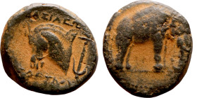 Seleukos I Nikator (Seleukid King: 312-260 BC). AE bronze. Obv.: Elephant standing right Rev: Horse head left

18mm 6.37g

Artificial sand patina