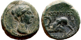 Antiochus IV Epiphanes (Seleukid King: 175-172 BC). AE bronze. Obv.: Veiled, diademed bust of Laodice IV right Rev.: Elephant head left, to r. Tripod...