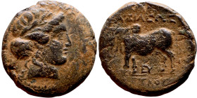 Seleukos I Nikator (Seleukid King: 312-260 BC). AE bronze. Obv.: Winged head of Medusa, snakes flowing behind. Rev.: BAΣIΛEΩΣ ΣEΛEYKOY; Humped bull bu...