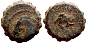 Demetrios I Soter (Seleukid King: 162-150 BC). AE bronze. Obv.: head of horse left. Rev.: BAΣIΛEΩΣ ΔHMHTPIOY, head of elephant right.

15mm 4.08g...