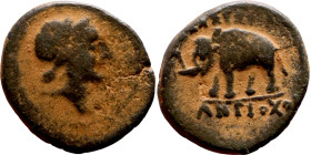 Antiochos III The Great (Seleukid King: 223-187 BC). AE bronze. Obv.: Laureate head of Apollo Rev.: Elephant standing left

15mm 2.67g

Artificial...