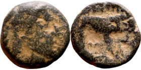 Hellenistic period coin (3-1 century BC) Bronze coin.

13mm 2.49g

Artificial sand patina