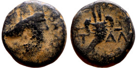 Hellenistic period coin (3-1 century BC) Bronze coin. Obv: Bust of Tyche. Rev: Cornucopiae

11mm 2.11g

Artificial sand patina