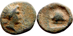 Uncertain ruler (Seleukid Kings: III- I Century BC) bronze coin.

11mm 1.15g