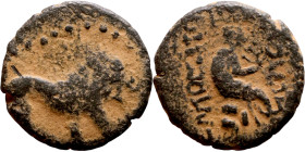 COMMAGENE. Samosata. 1st century BC. AE oktachalkon. Obv.: Lion walking to right. Rev.: CAMOCATΩ / [ΠOΛEΩC] The Tyche of Samosata seated to right on r...