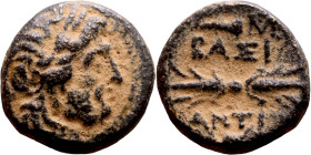 Antiochus IX Cyzicenus (Seleukid King: 114-95 BC). AE bronze. Obv.: diademed head of Antiochus right. Rev.: Titles to right and left of winged thunder...