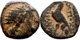 Antiochos VIII (Seleukid King: 121-96 BC). AE bronze. Obv.: diademed head of Antiochus right. Rev.: BAΣІΛEΩΣ ANTIOXOY EΠIΦANOYΣ; Eagle standing left o...
