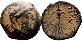 Antiochus IX Cyzicenus (Seleukid King: 114-95 BC). AE bronze. Obv.: diademed head of Antiochus right. Rev.: Titles to right and left of winged thunder...