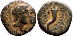 Hellenistic period coin (3-1 century BC) Bronze coin. 

15mm 2.54g

Artificial sand patina