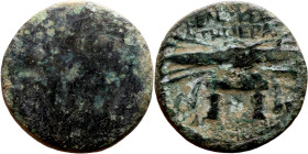 Demetrios I Soter ? (Seleukdi King: 162-150 BC). AE bronze. Obv: Standing eagle. Rev.: Thunderbolt

18mm 4.20g