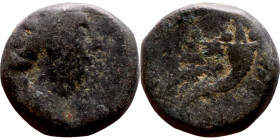Hellenistic period coin (3-1 century BC) Bronze coin. 

14mm 3.80g