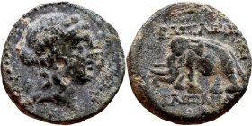 Antiochos III The Great (Seleukid King: 223-187 BC). AE bronze. Obv.: Laureate head of Apollo Rev.: Elephant standing left

14mm 3.11g